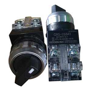Model cong tac xoay hanyoung crs series 4