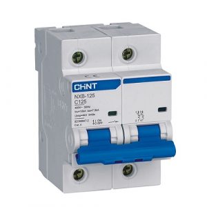 Mcb nxb 125 2p chint 300x300 2